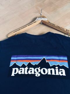 Patagonia shirt