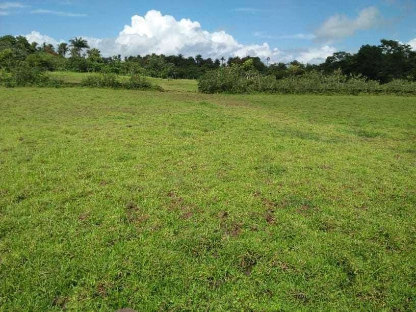 (Category: ) located in . Submitted by ADB.Realtor (Listing ID 1303643302, Image 1). Description: .