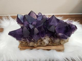 (Category: ) located in . Submitted by crystalpaw (Listing ID 1303860265, Image 1). Description: .
