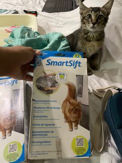 (Category: ) located in . Submitted by sharsie (Listing ID 1303907076, Image 1). Description: .