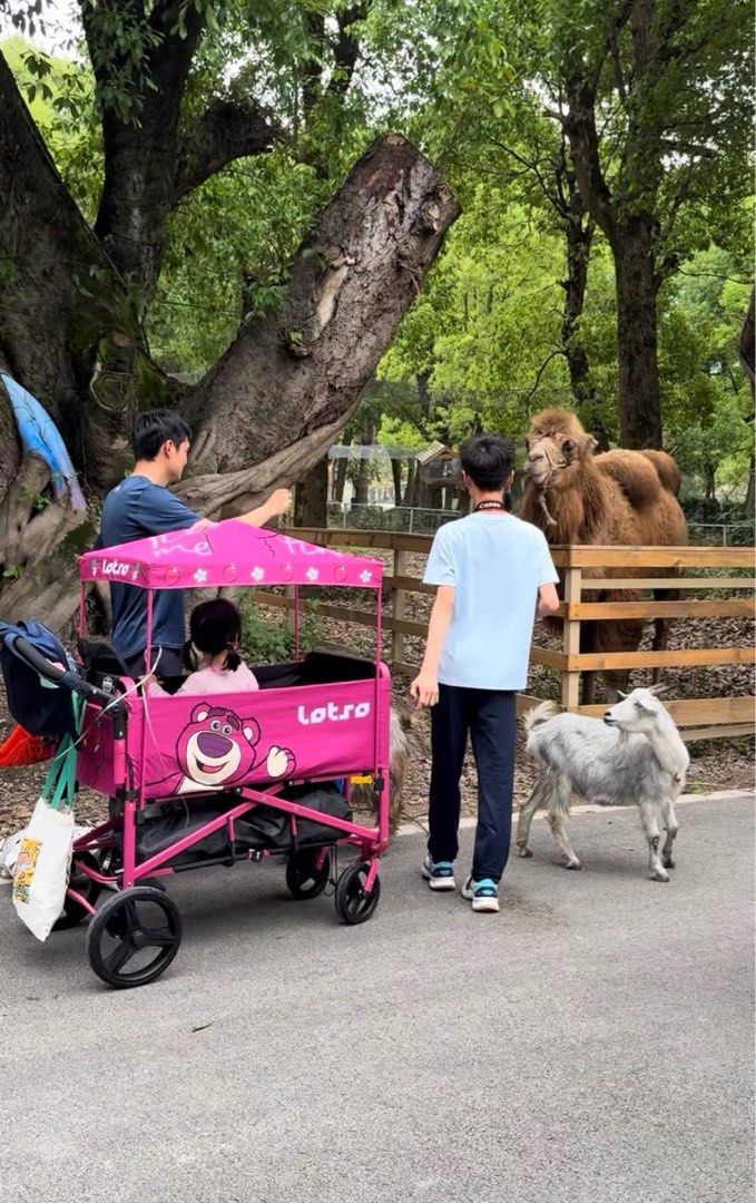 Stroller wagons at disney best sale