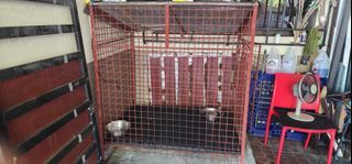 Dog Cage for Large Dogs