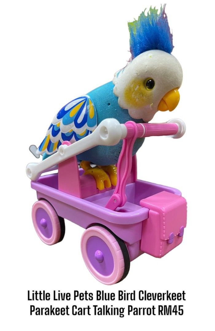 Cleverkeet little live pets shop