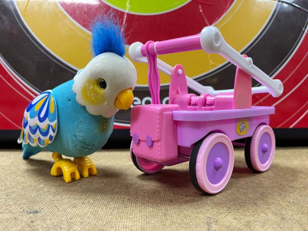 Cleverkeet bird best sale