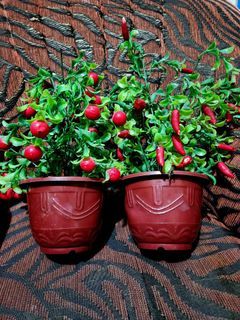 Mini Artificial Plants Table Potted Ornaments Home Garden Decor