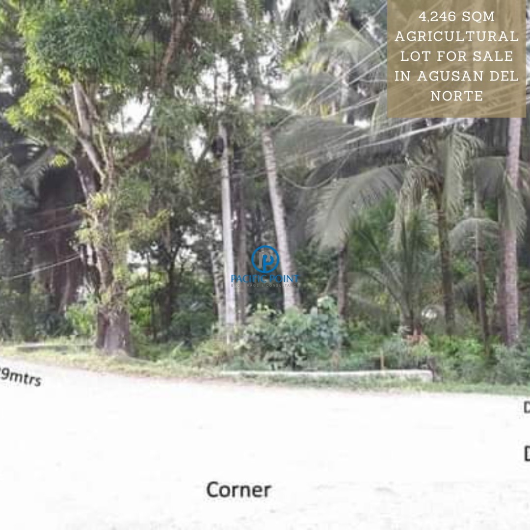 Prime Commercial Lot located at Cabadbaran, Agusan del Norte, Property