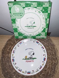 Snoopy and Woodstock Dinner Plate with box from Japan