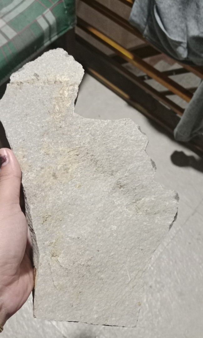 WHITE ARAAL CRAZY CUT (Category: Construction & Building Materials) located in San Mateo. Submitted by dessertmineenterprises1702 (Listing ID 1303891676, Image 3). Description: 1000 per sqm.