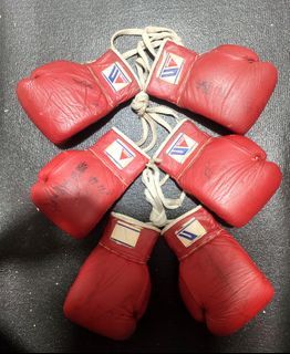 Winning Mini Boxing Gloves