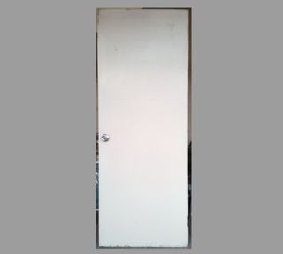 Wooden Flush Door (white)
