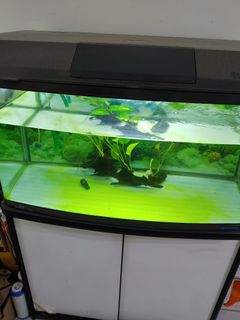 (Category: ) located in . Submitted by caroselluser (Listing ID 1303937493, Image 1). Description: .