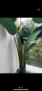 (Category: ) located in . Submitted by burpppjian (Listing ID 1303992781, Image 1). Description: .