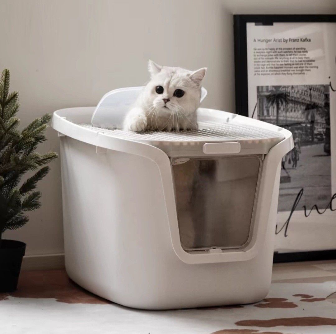 New litter box outlet