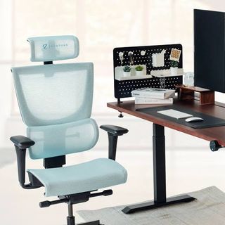 Brand NEW ERGOTUNE Joobie office / gaming / work chair ergonomic vertebral design complete with BOX