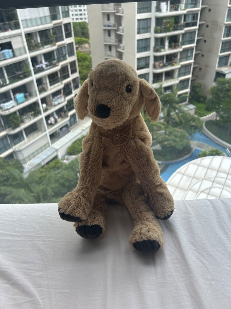 ikea dog plush gosig golden Hobbies Toys Toys Games on Carousell