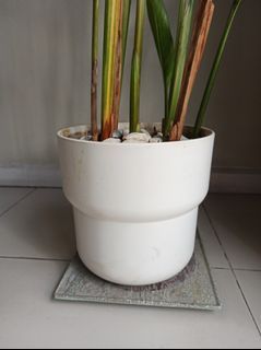 Ikea Plant Pot with Plants