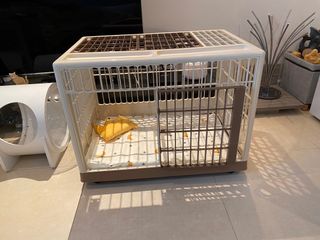 （分類：）位於 。 由 catisgold 提交（商品編號 1303966418，圖片 1）。簡介： 。