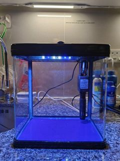 small aquarium fish tank automatic