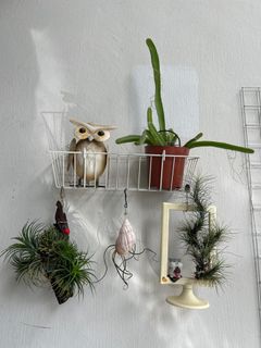 (Category: ) located in . Submitted by no_need_waste (Listing ID 1304107311, Image 1). Description: .