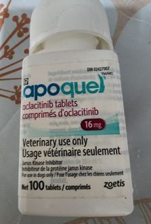 Affordable apoquel For Sale Carousell Singapore