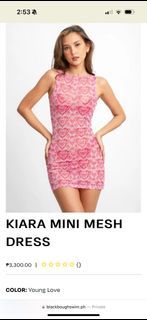 Blackbough Kiara Mini Mesh Dress