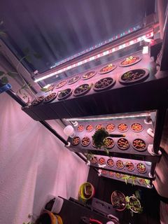 (Category: ) located in . Submitted by magmillion (Listing ID 1304239726, Image 1). Description: .