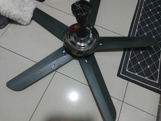 (Category: ) located in . Submitted by aminnakbe02593 (Listing ID 1304201052, Image 1). Description: .