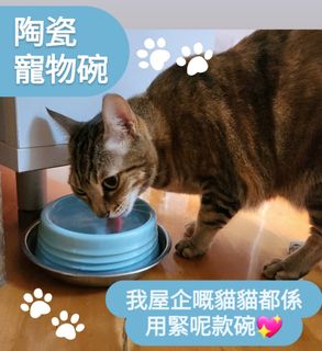 （分類：）位於 。 由 nicccc 提交（商品編號 1304194166，圖片 1）。簡介： 。