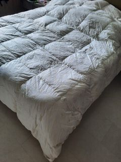 (Category: ) located in . Submitted by r_ash (Listing ID 1304109413, Image 1). Description: .