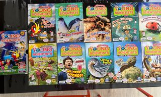 (Category: ) located in . Submitted by kidshomestuff (Listing ID 1304119824, Image 1). Description: .