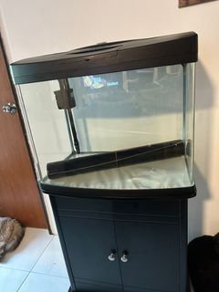 (Category: ) located in . Submitted by kittycatz74 (Listing ID 1301258159, Image 1). Description: .