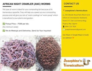 African night crawler worms , Vermicast , Vermicompost, Vermi , ANC