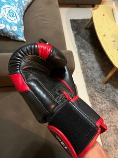 Boxing gloves 12oz twins special