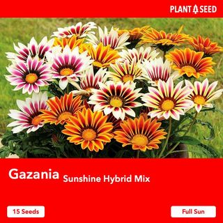 (Category: ) located in . Submitted by plantaseed (Listing ID 1130398045, Image 1). Description: .