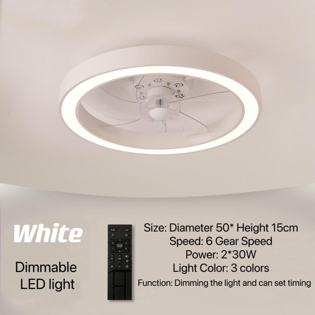 LED Ceiling Light