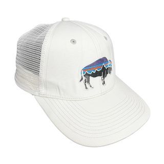 Patagonia trucker hat