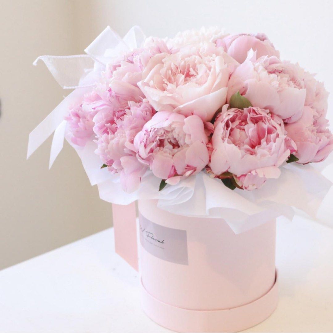 (新品未開封)peony the marshmallow bakery box 新品未開封)peony the marshmallow bakery box（Memory Box