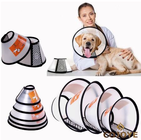 Cone protector for dogs best sale