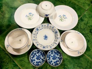 Blue flowered plate set