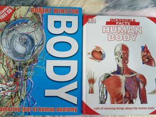 DK Human Body books-Bundle of 2