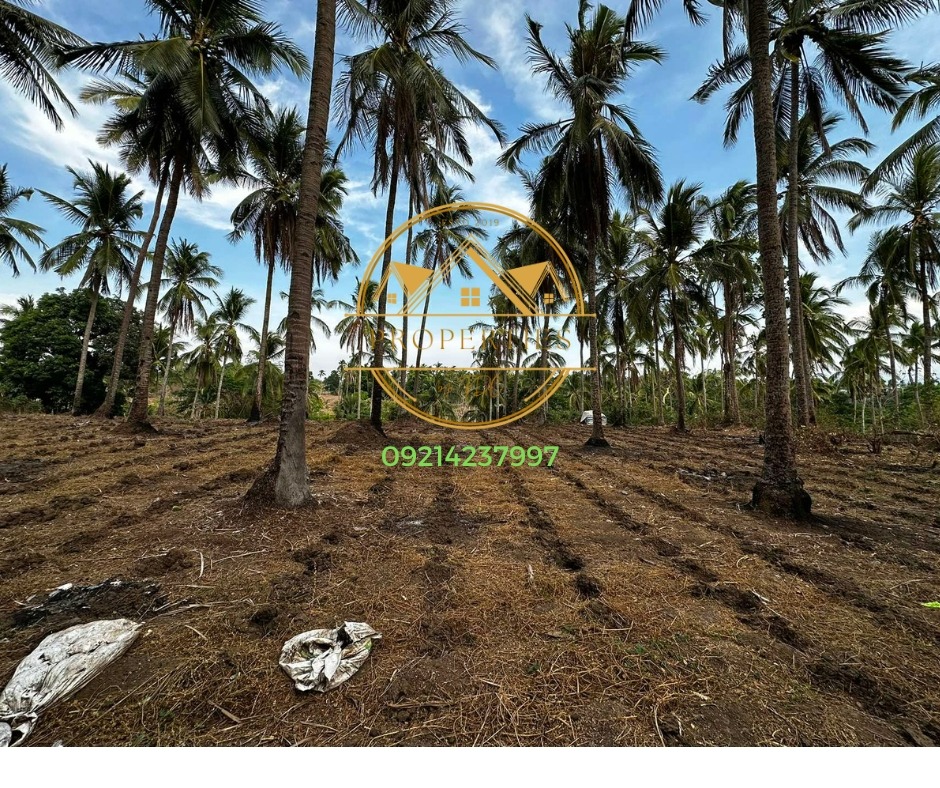 RESIDENTIAL LOT FOR SALE Eagle Nest Village, Parsolingan, Gerona Tarlac, Property, For Sale, Lot