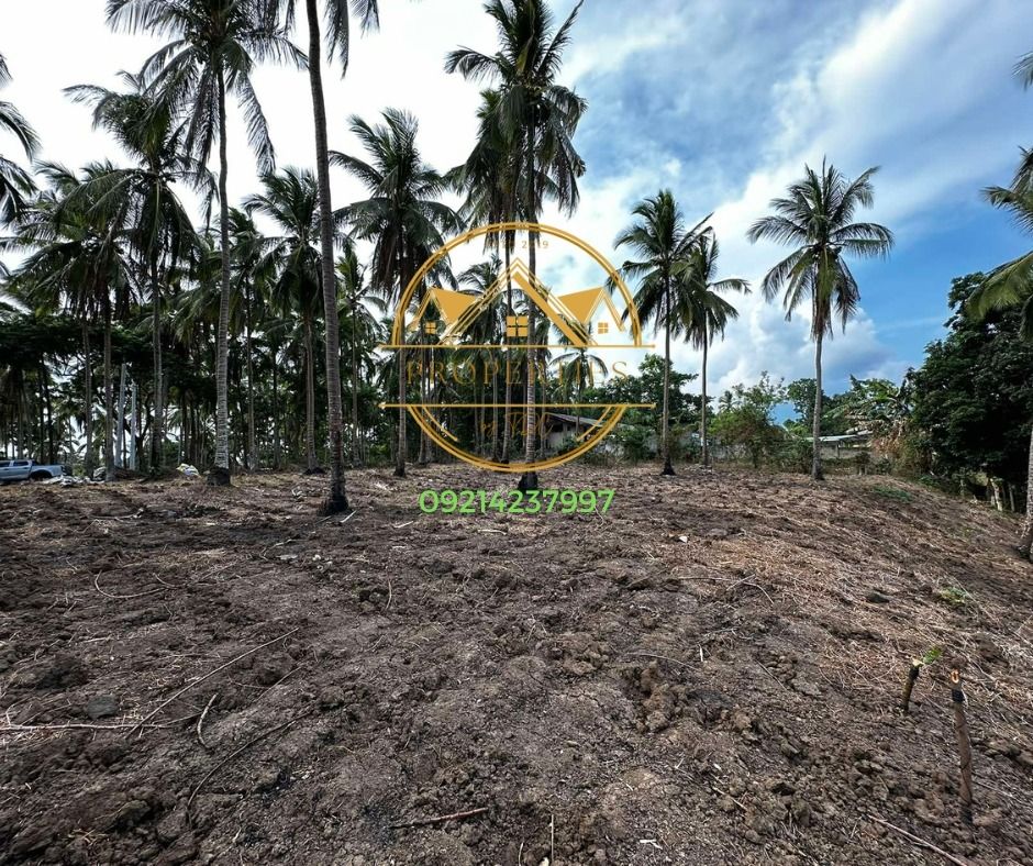 FARM LOT FOR SALE BRGY. MANGGAHAN, DOLORES, QUEZON, Property, For Sale