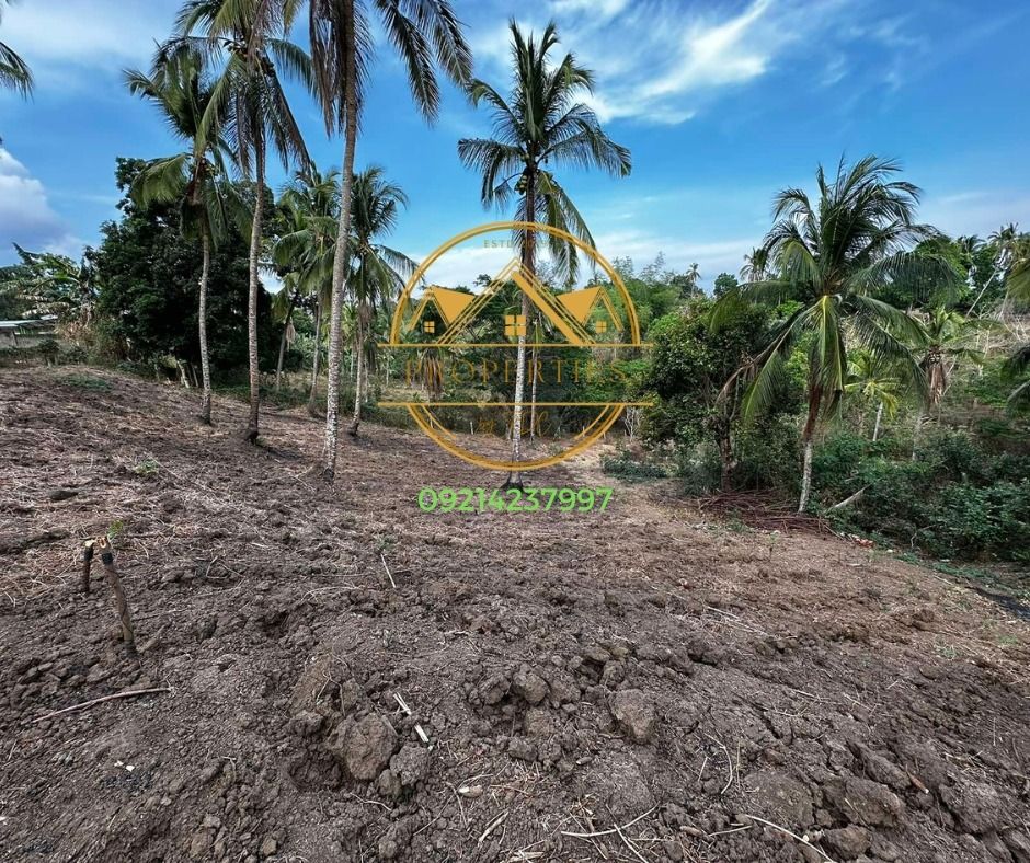 FARM LOT FOR SALE BRGY. MANGGAHAN, DOLORES, QUEZON, Property, For Sale