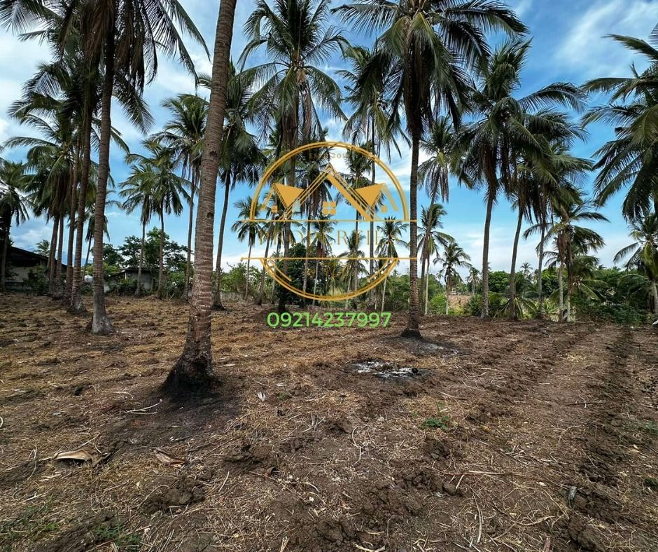 FARM LOT FOR SALE BRGY. MANGGAHAN, DOLORES, QUEZON, Property, For Sale