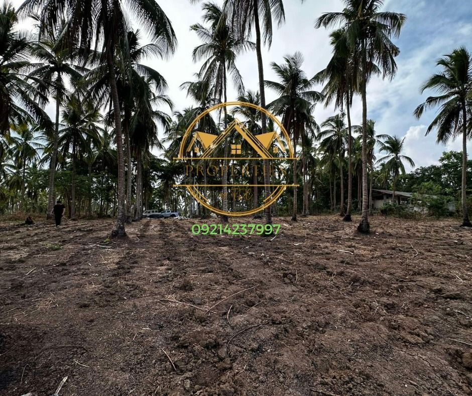FARM LOT FOR SALE BRGY. MANGGAHAN, DOLORES, QUEZON, Property, For Sale
