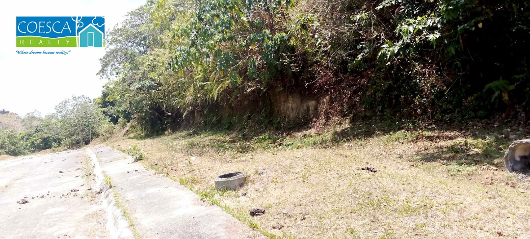 (Category: ) located in . Submitted by coescarealty (Listing ID 1304369626, Image 1). Description: .