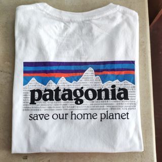 Patagonia save our home planet
