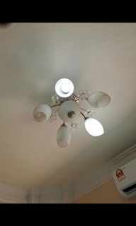 (Category: ) located in . Submitted by ciksha187 (Listing ID 1304503176, Image 1). Description: .