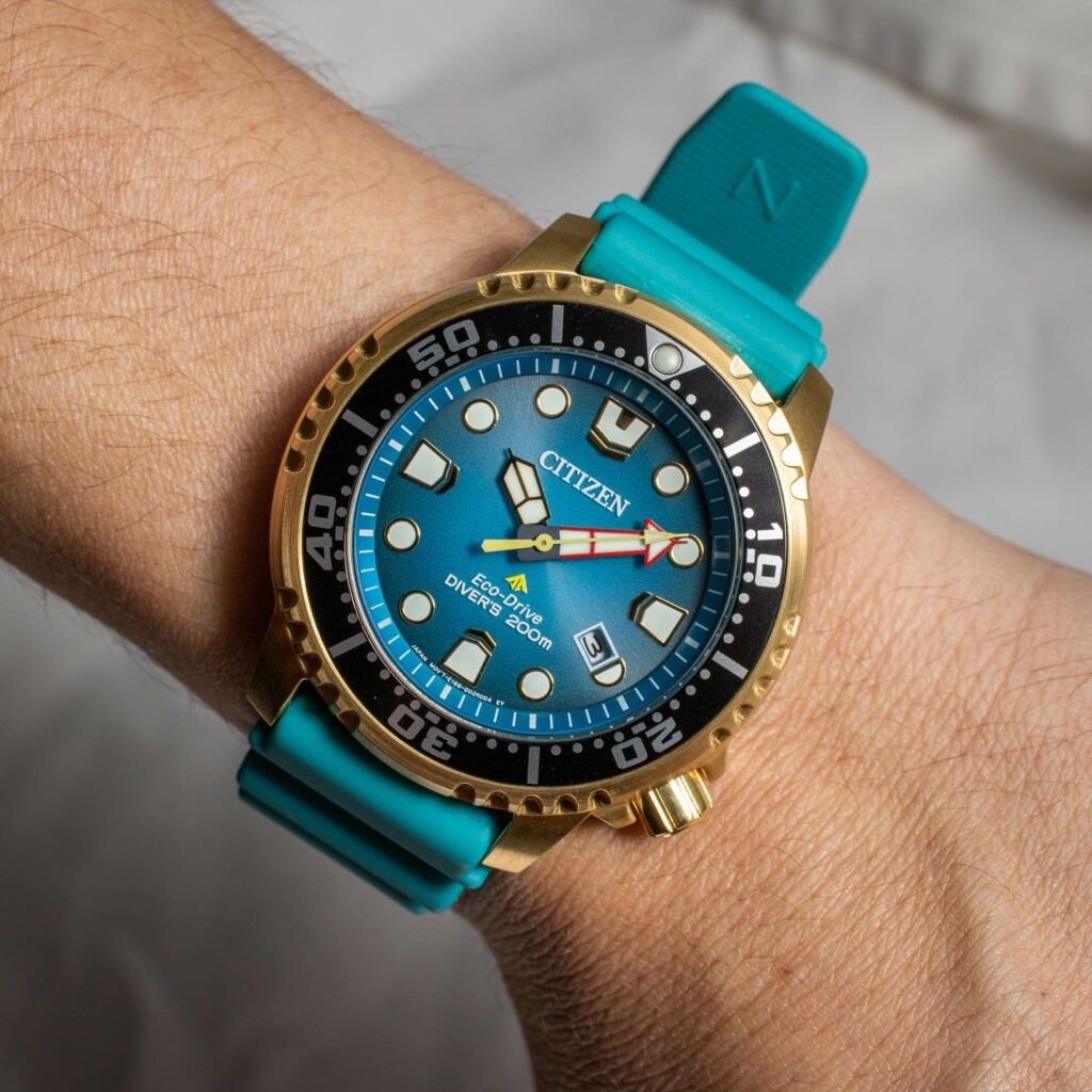 Citizen promaster professional diver men's watch clearance