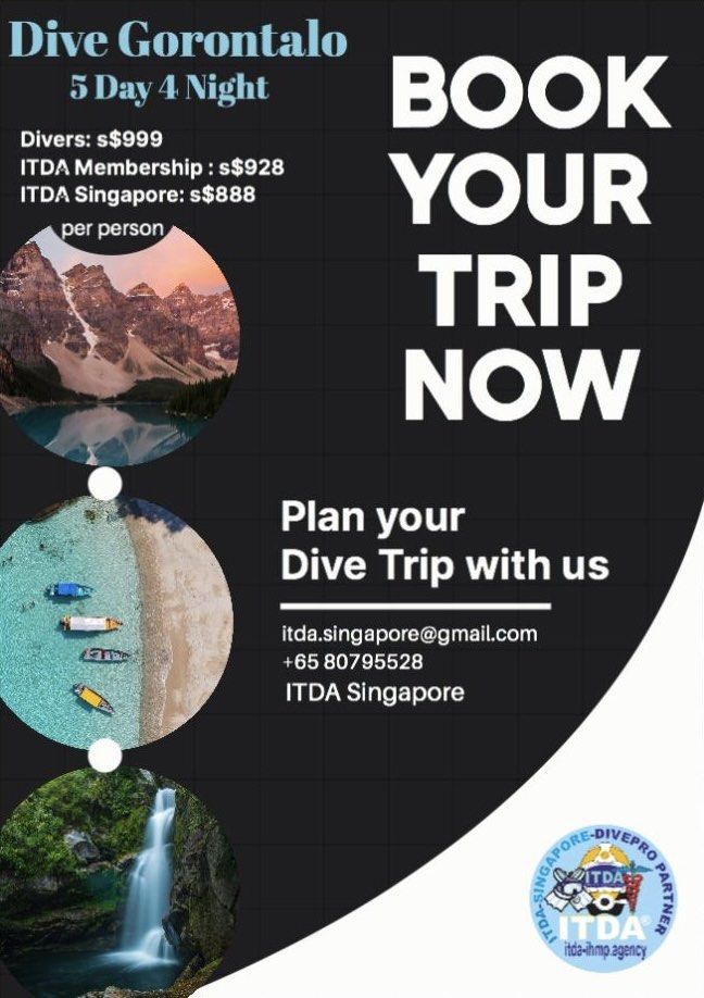 Scuba diving Trips (Category: Water Sports) located in Singapore. Submitted by itdasingapore (Listing ID 1304459621, Image 2). Description: Scuba diving trips and courses starting from s$370 Nett Tioman Gorontalo - Whale Shark, Dugong and many more Maldives - Whale shark, Tiger Shark and many more .